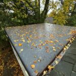 cropped_WhatsApp Image 2025-12-26 at 19.58.44 (5)