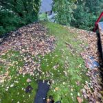 cropped_WhatsApp Image 2025-12-26 at 19.58.45 (18)