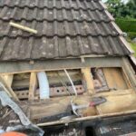 cropped_WhatsApp Image 2025-12-26 at 19.58.45 (19)