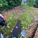 cropped_WhatsApp Image 2025-12-26 at 19.58.45 (4)