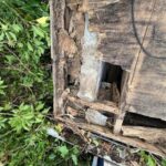 cropped_WhatsApp Image 2025-12-26 at 19.58.46 (21)