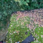 cropped_WhatsApp Image 2025-12-26 at 19.58.46 (6)