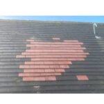 cropped_WhatsApp Image 2025-12-26 at 19.58.47 (2)